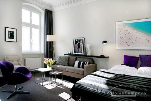 Spacious One Bedroom Apartment in Prenzlauer Berg, Berlin, furnished