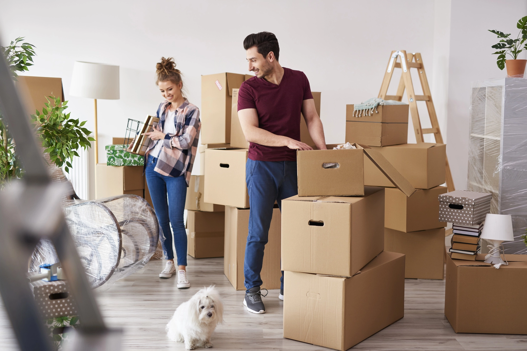 Beware of scams in the housing market