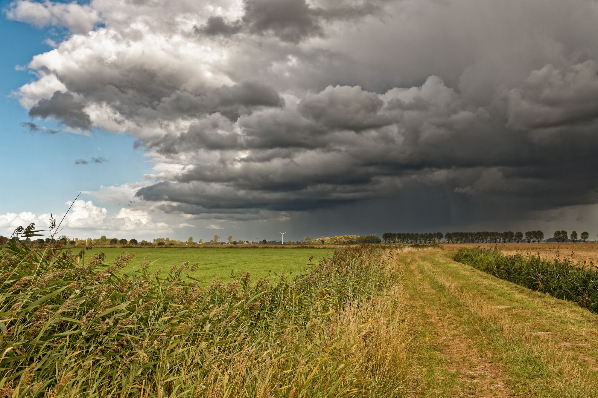 CDU/CSU and SPD plan compulsory natural hazards insurance