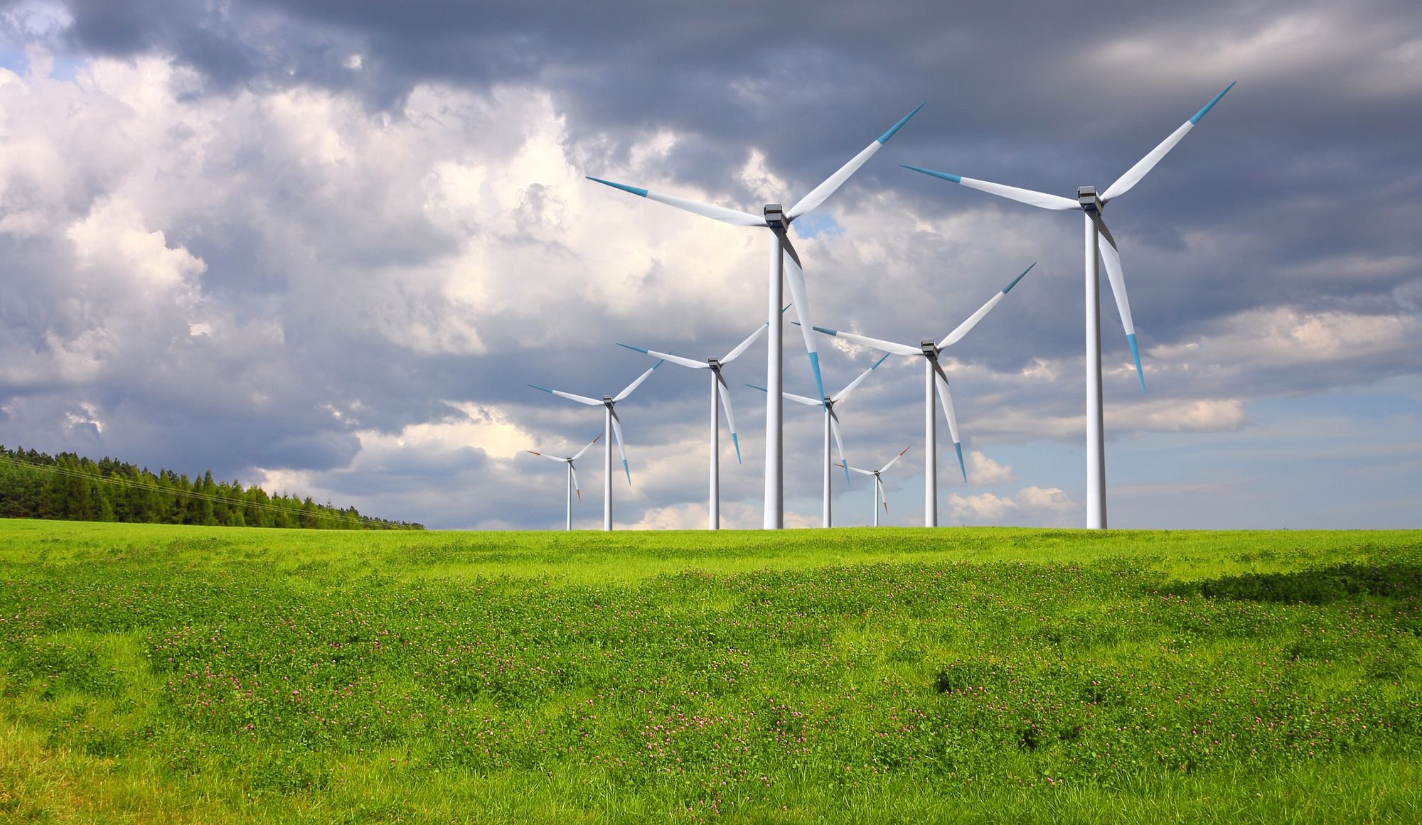 Electricity generation: more than 60 % from renewable energy