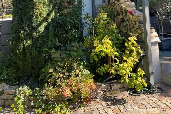 Modernes Split-Level-Haus mit Garten und Whirlpool in Planegg