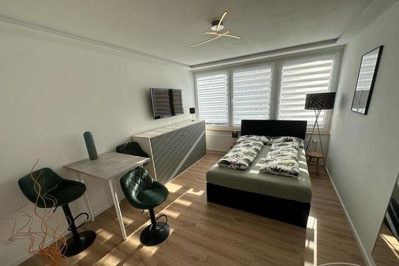 Möbliertes Appartement in der Bonner Altstadt!